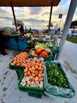 TRŽNICA ŠKOFLJICA 5